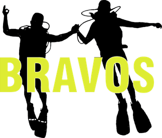 Bravos vzw