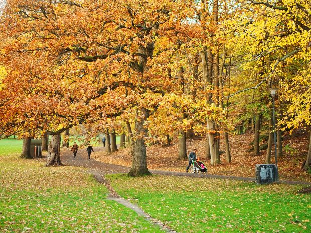Slottskogen 2