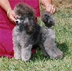 Hendes far :
JILAN`S CELEBRITY