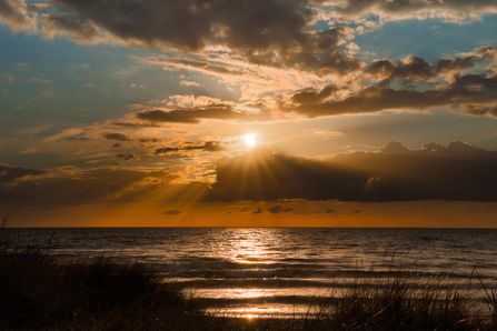 Landscape - Web1