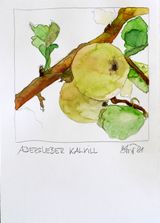 Adersleber Kalvill