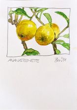 Ananasrenette_2021