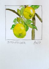Bittenfelder