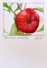 Danziger Kantapfel
