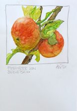 Freiherr von Berlepsch_2021