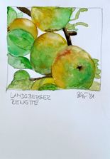 Landsberger Renette