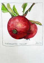 Purpurroter Cosinot_Stüwe2021