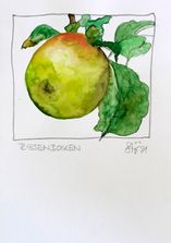Riesenboiken