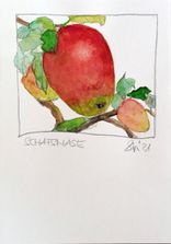 Schafsnase_Stüwe2021