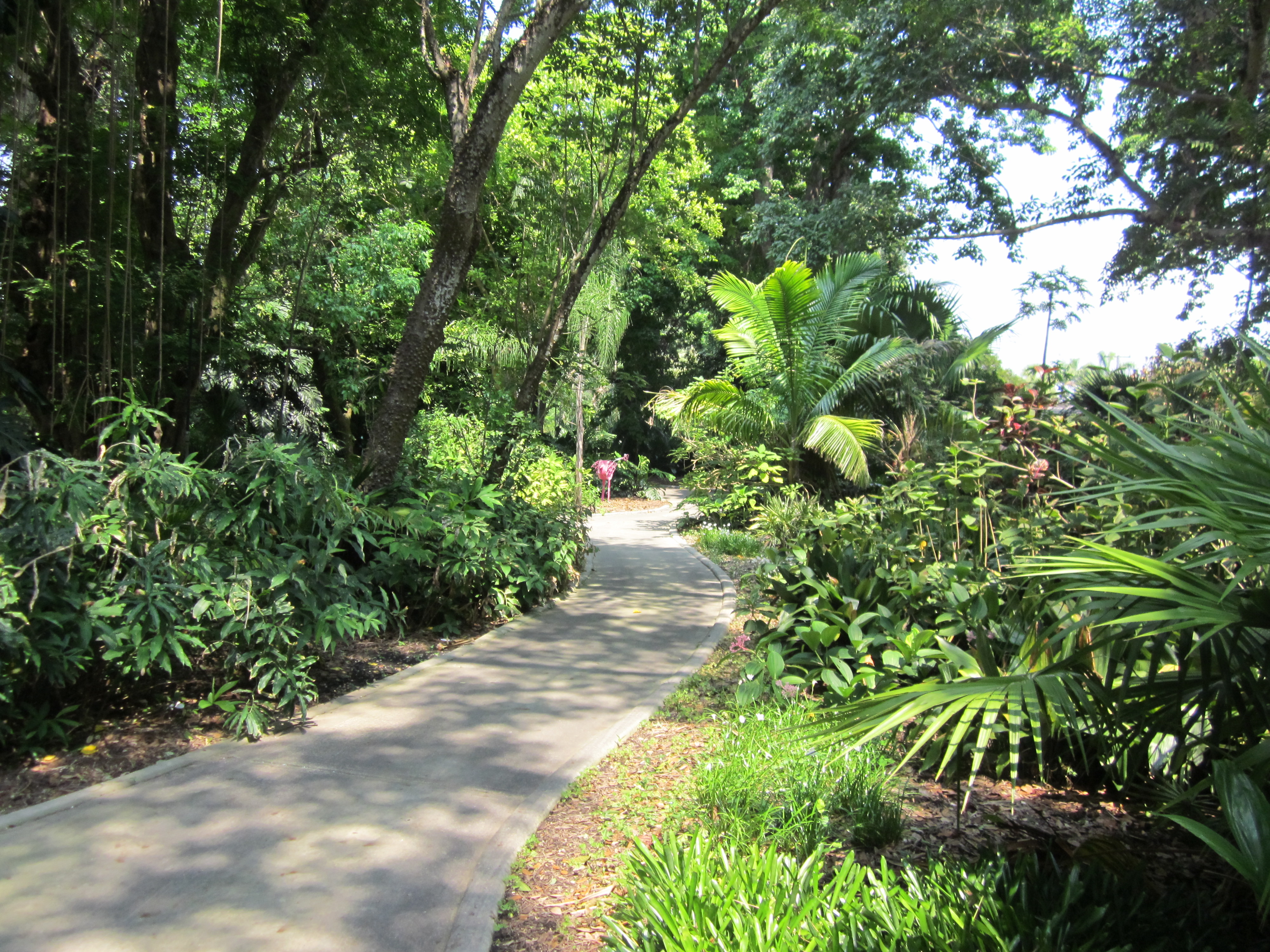 Flamingo Gardens, Davie