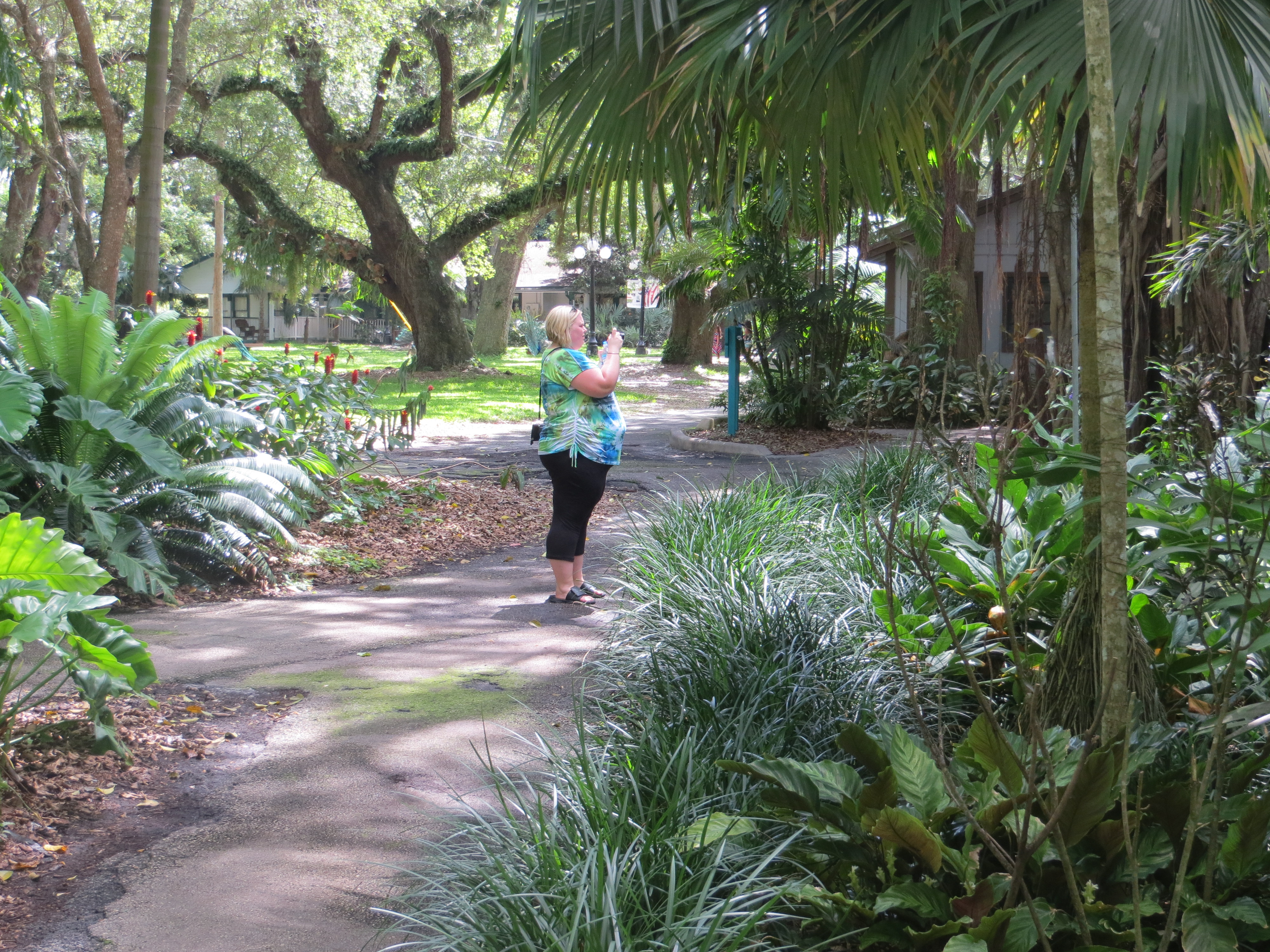 Flamingo Gardens