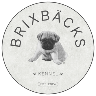 Kennel Brixbäcks