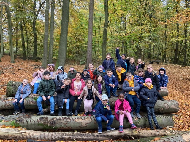 1a_Wald