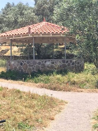 From a course on Lesbos - so beautiful and nice surrondings