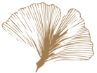 Gingko biloba