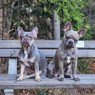 Aria und Freya, die "Bankl-Sitzer"