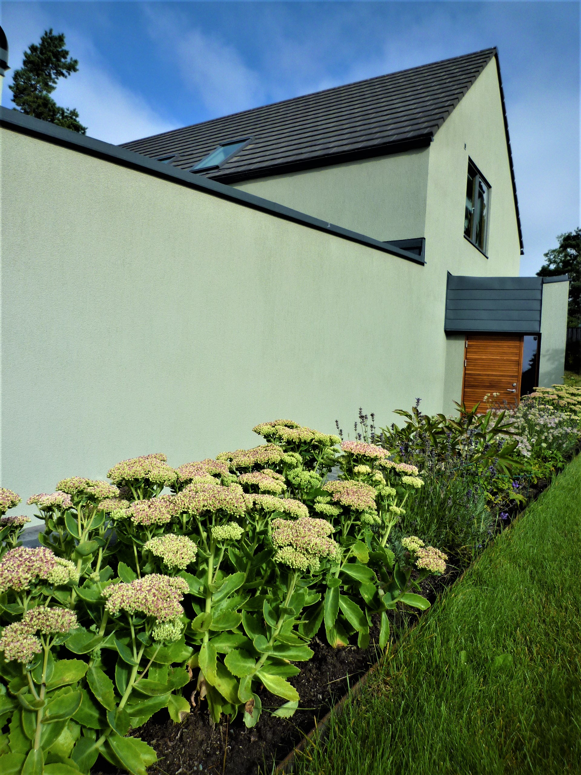 Växter mot husetsfasad, trädgårdsdesign