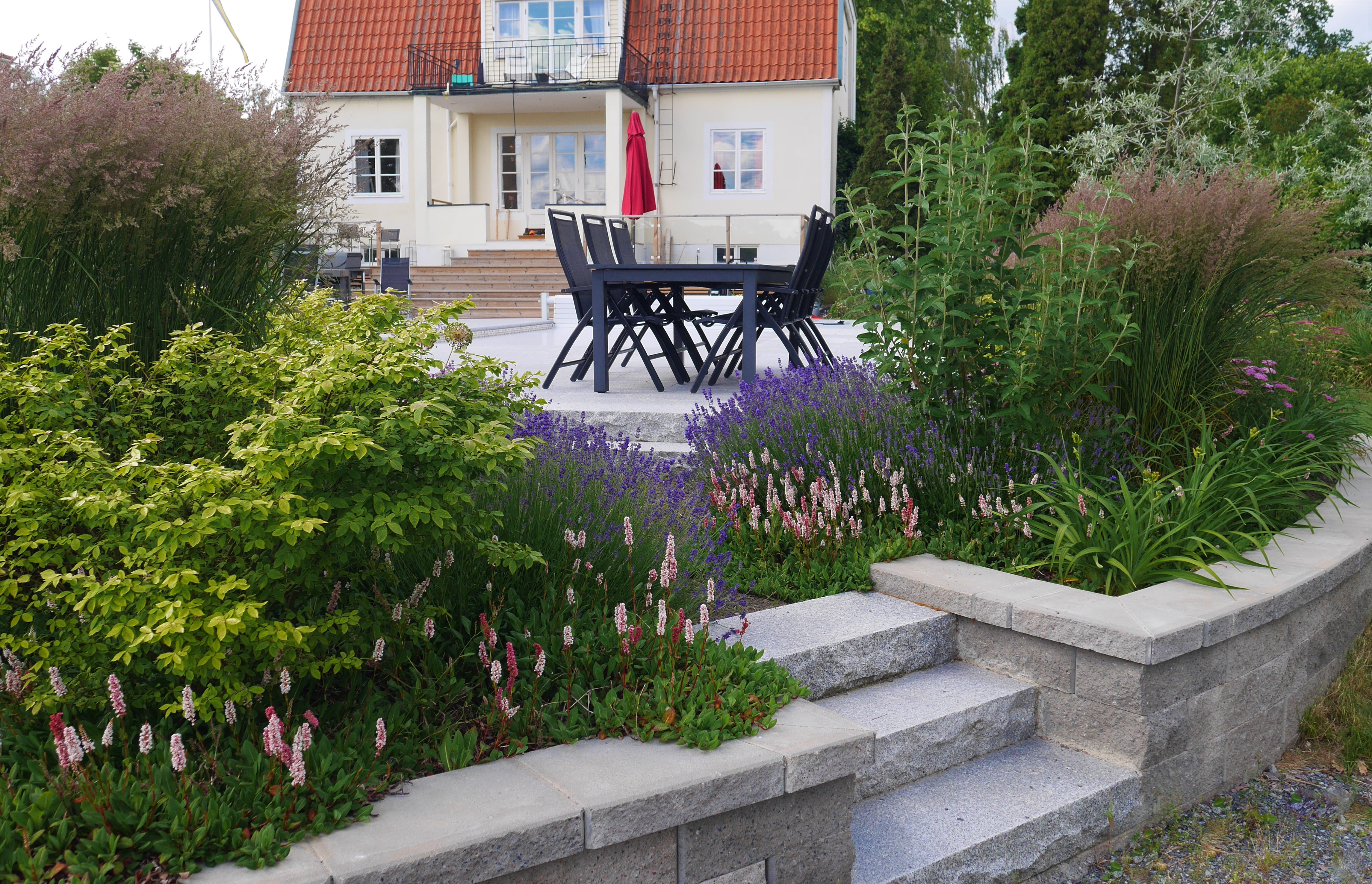 Växtplantering, buskar och perenner, trädgårdsdesign