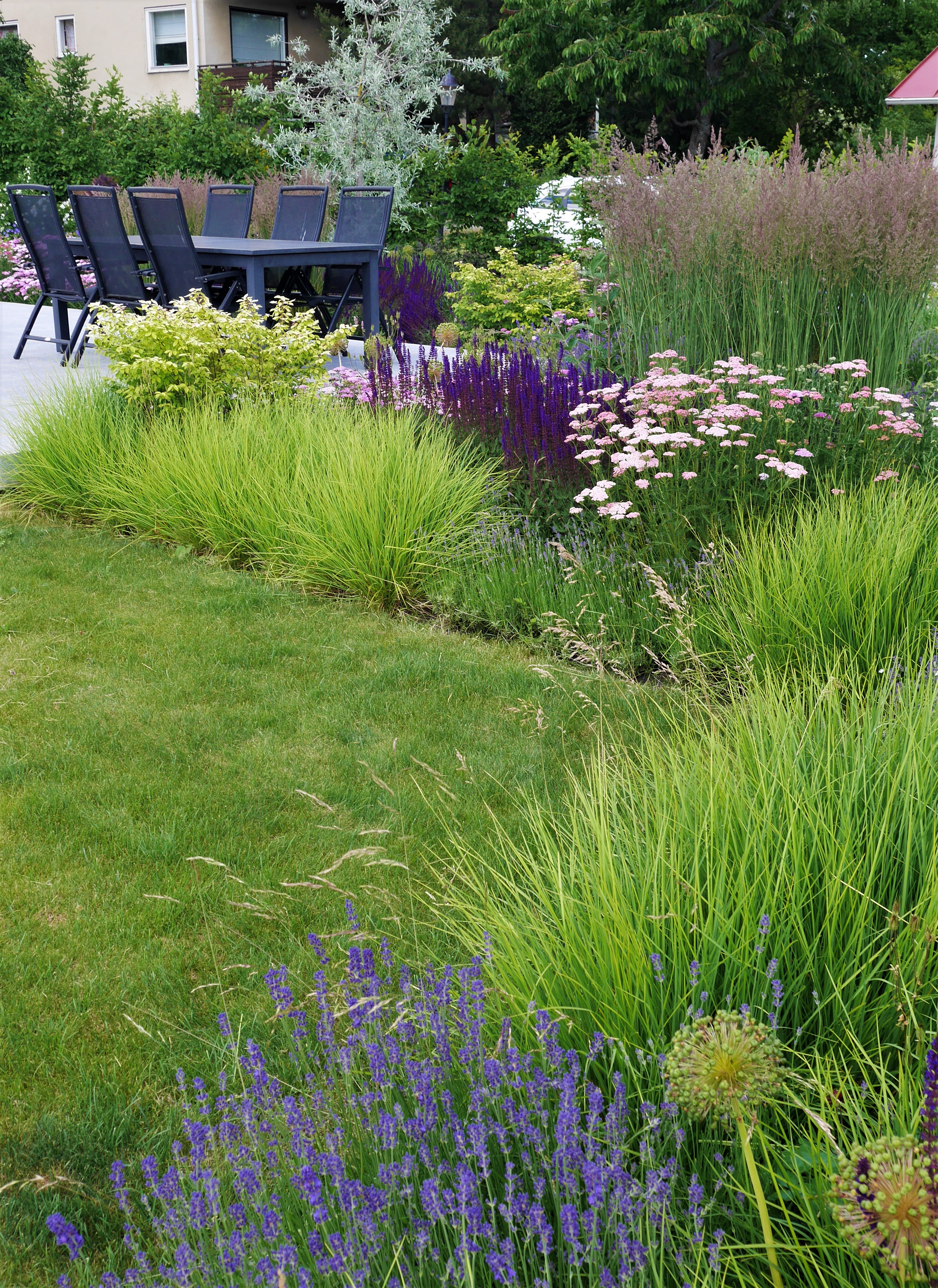 Växtplanering, plantingplan, perenner, perennials, trädgård