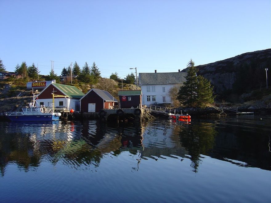 Buskøy 2004.Bildet viser hagen med flere store grantrær. De gamle stakittgjerdene er borte og og hagen er gjenngrodd av busker og kratt.
