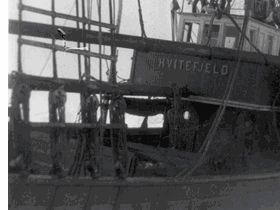 DS Hvitefjeld