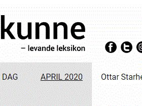 Artikkel i Allkunne