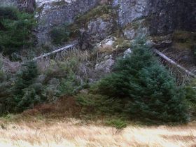 Vindfall