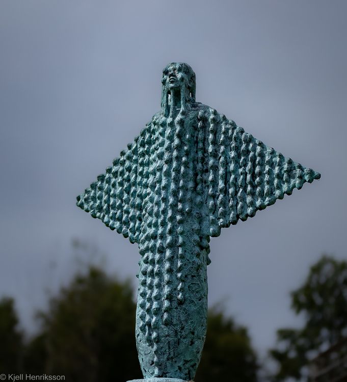 Ditte Reijers