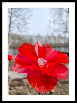 Vallmoblom, Margareta Forslund