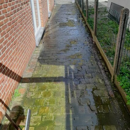 Foto voor het reinigen van dit wandelpad -->
