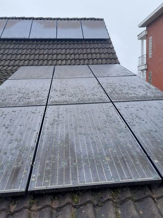 Mos en vervuiling op deze zonnepanelen ->