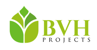 BVH Projects
