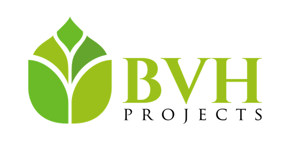 BVH Projects