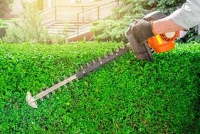 BVH Projects voor uw tuinonderhoud