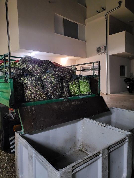 THE OLIVE MILL/PRESSER