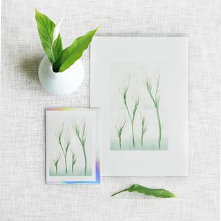 ByFagus4