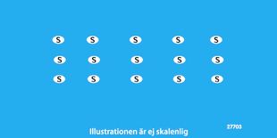 Nationalitetsskylt - S