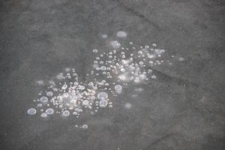 Bubblor i isen