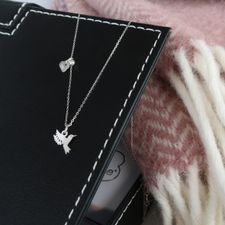 PFULNBBIRD01S