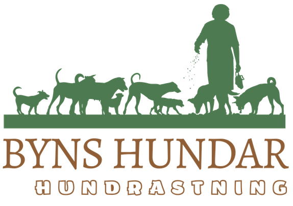 Byns Hundar