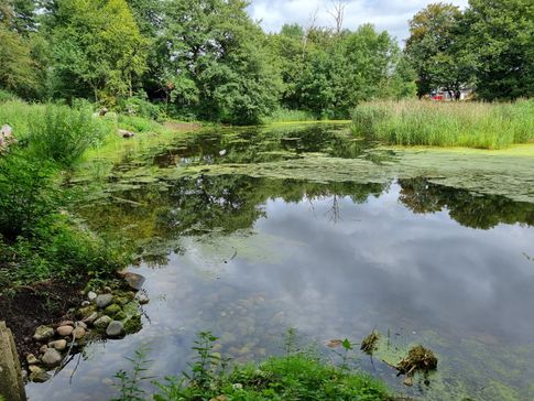 Sommersø1