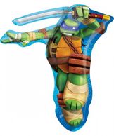 Turtles