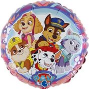 Paw patrol