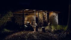 Kater-vor-Holz