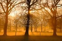 Sonnenaufgang orange