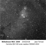 NGC2264