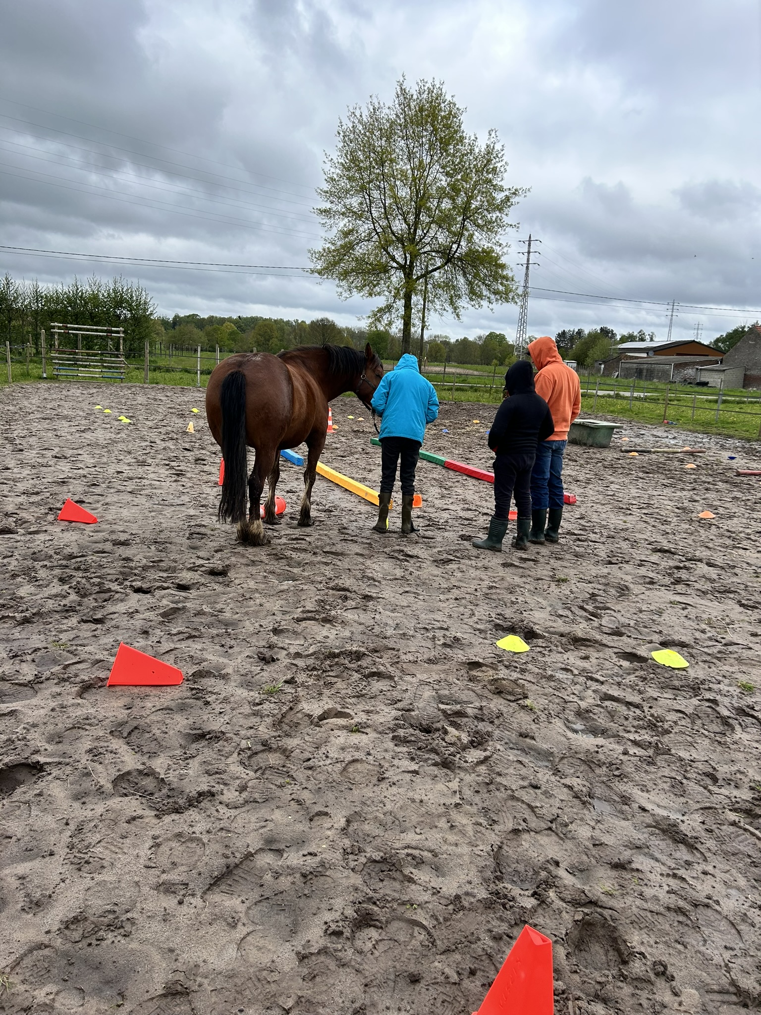 Teamdynamiek en organisatiedynamiek.