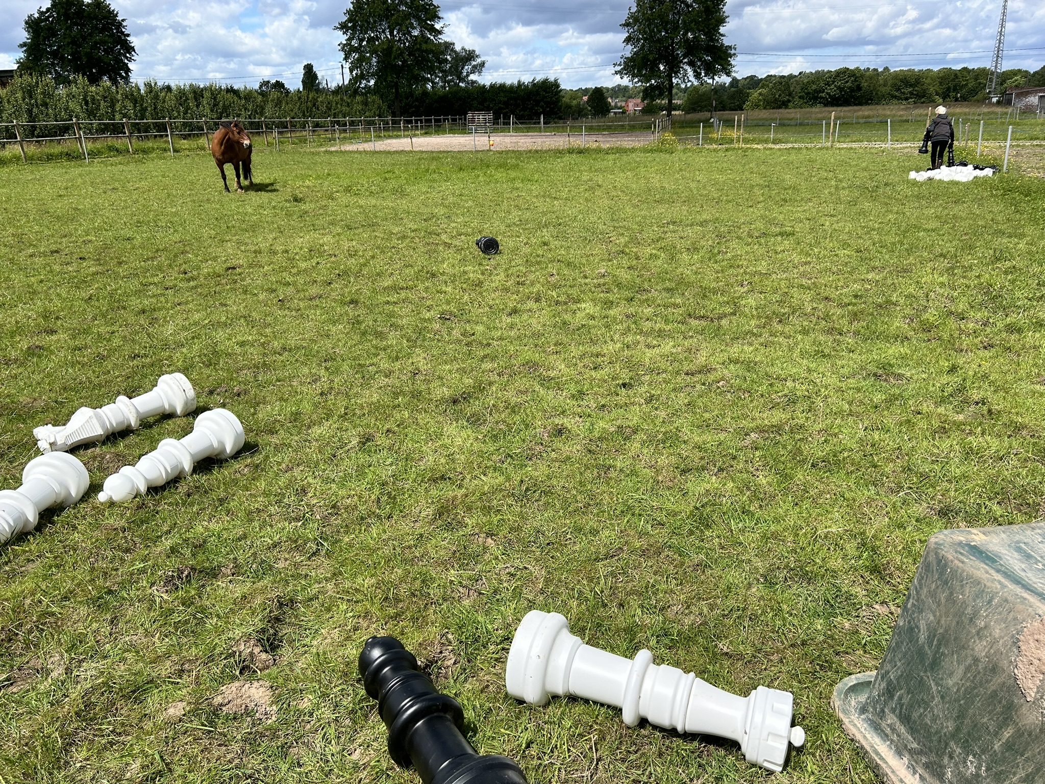 Familiopstelling