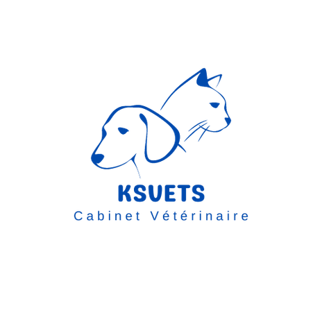 Cabinet Vétérinaire KSVETS