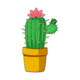 Cactus Flower